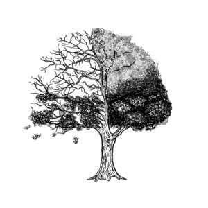 Referentie-Le-Stagioni